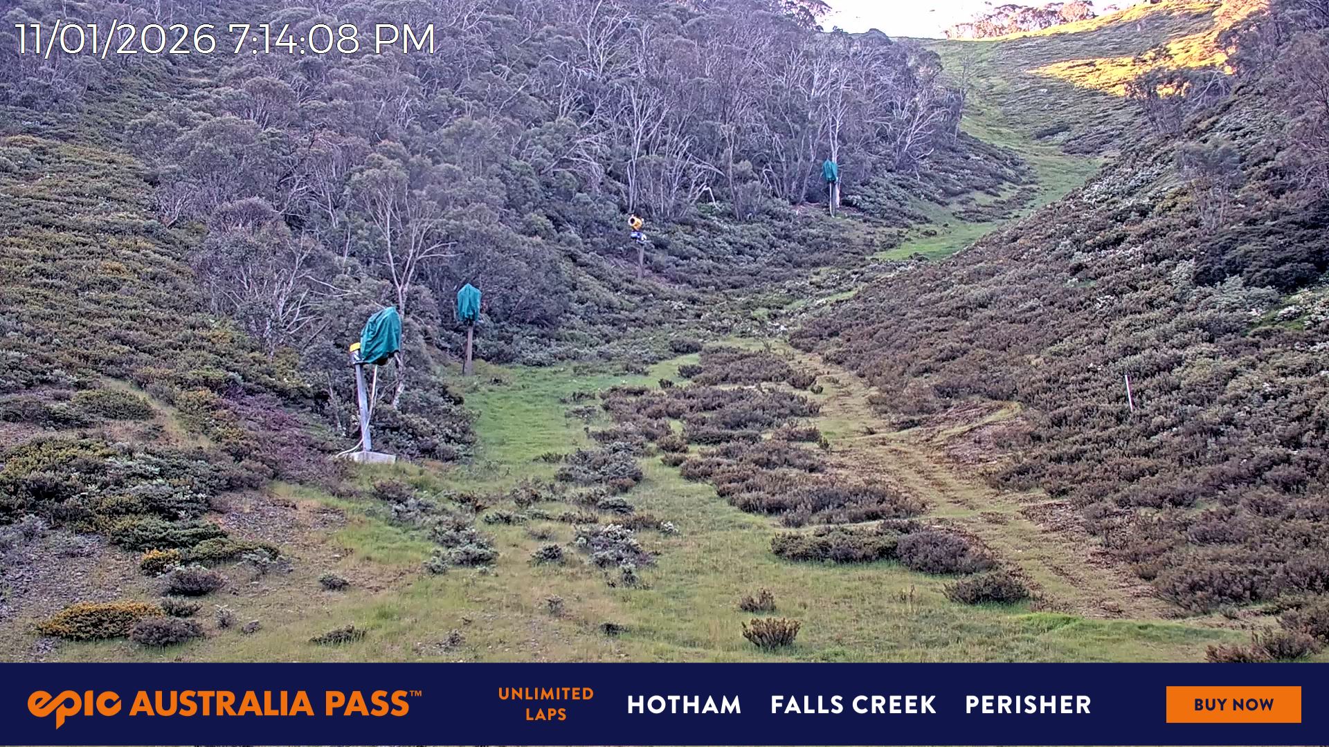 Snow Cams Hotham Alpine Resort