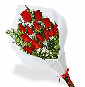 Rosas Para Mi Madre Minita Cumpleanos Madre En El Cielo