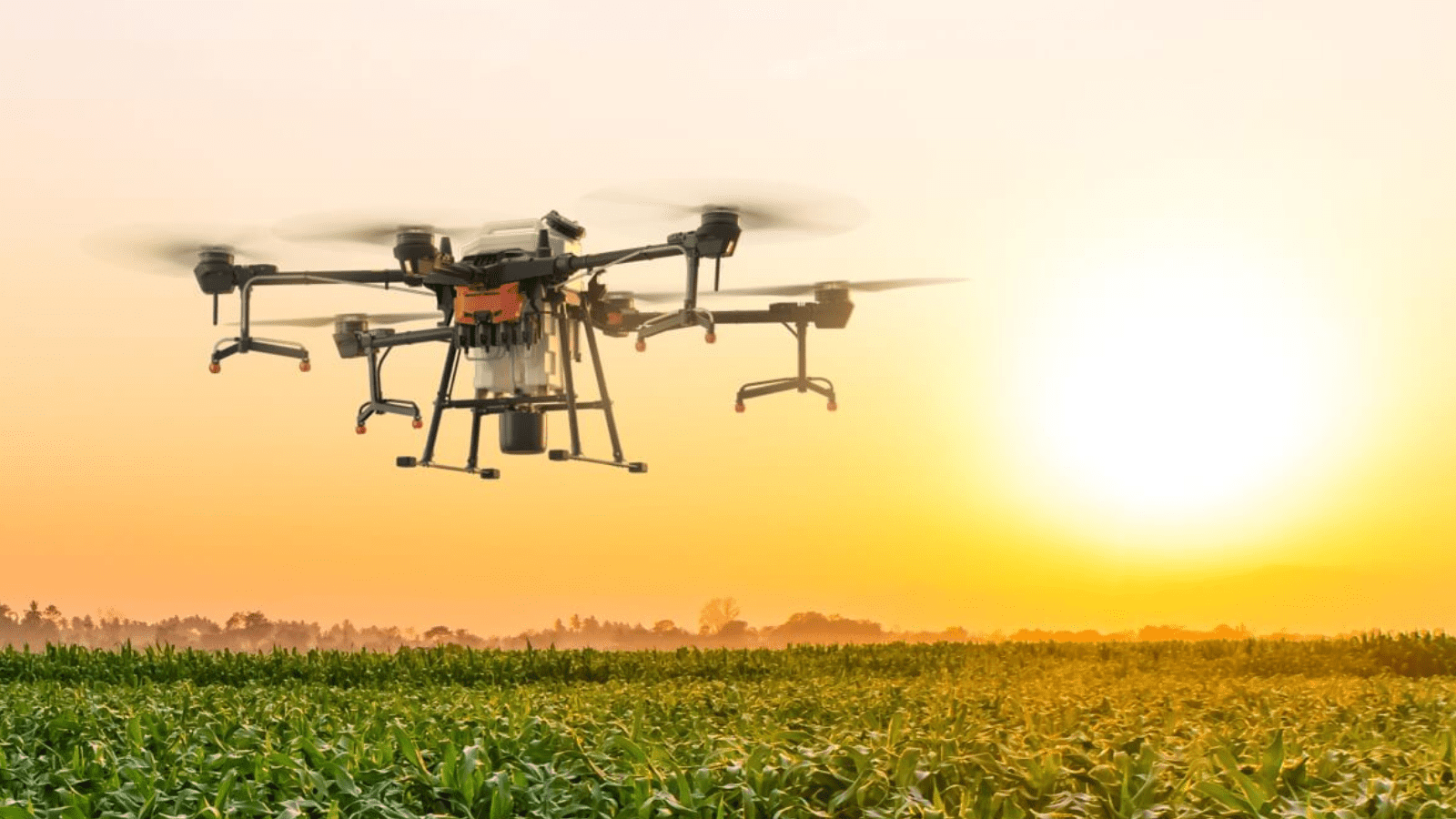 Automation Mapping the Future of Agriculture