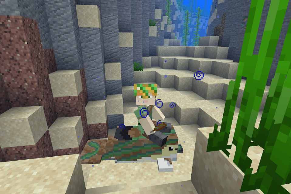 Minecraft, but you can befriend dolphins! (and help their conservation