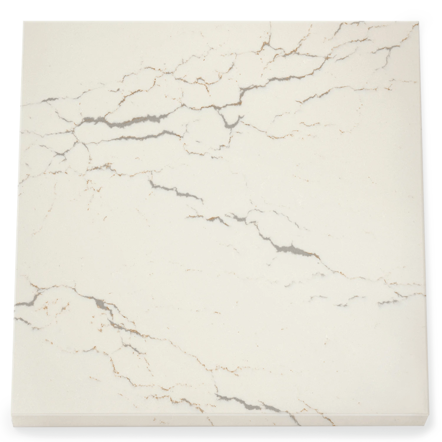 Cambria Archives co, Inc.