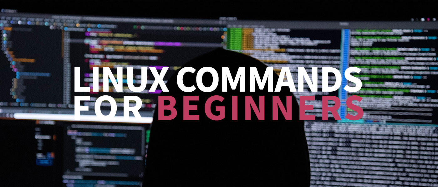 20 Basic Linux Commands for Beginners (+ Explanations)