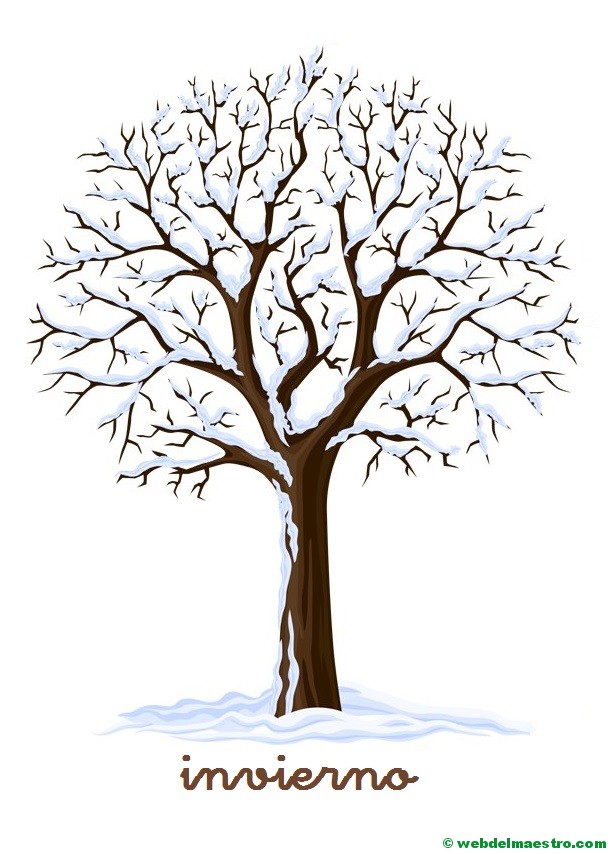 Actividades Que Se Derivan De Los Cuentos Cuento El Manzanito De