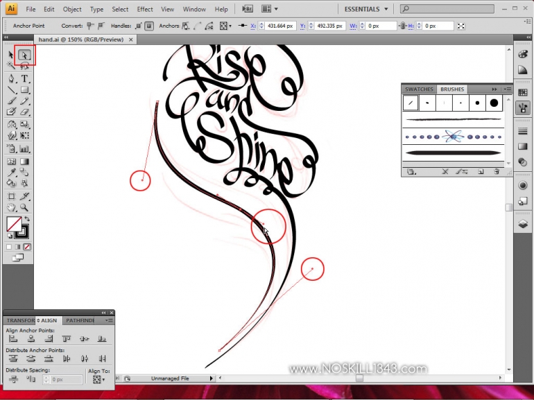 Calligraphy with and Illustrator Adobe Illustrator