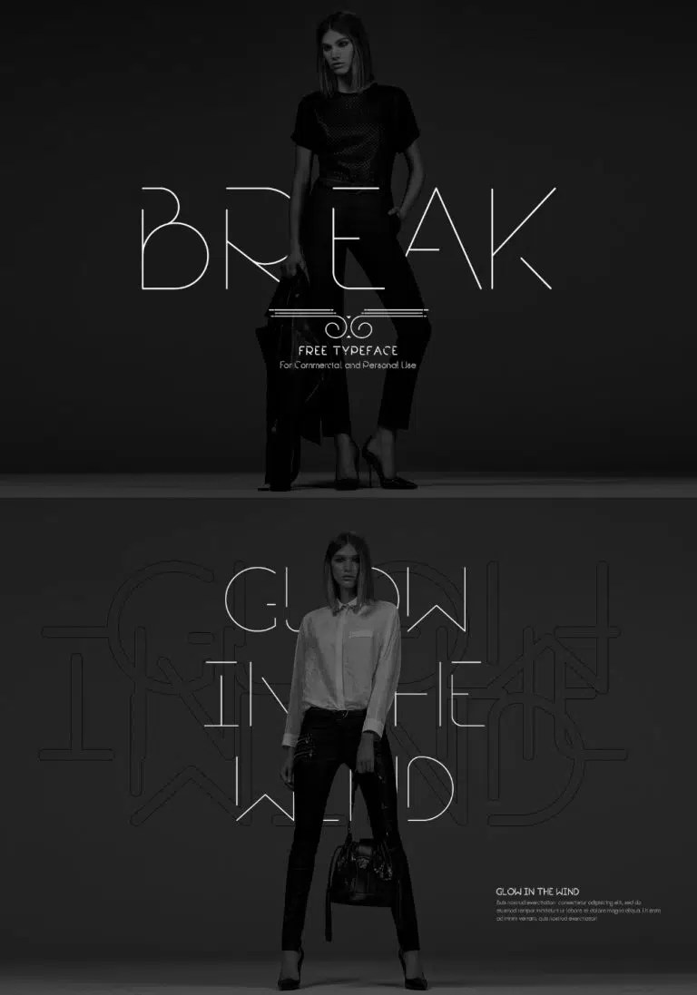 27 Best Designer Fonts for Brochures & Flyers