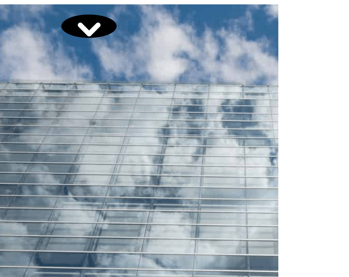 Responsive Bootstrap Cards Layout Web Designer Wall