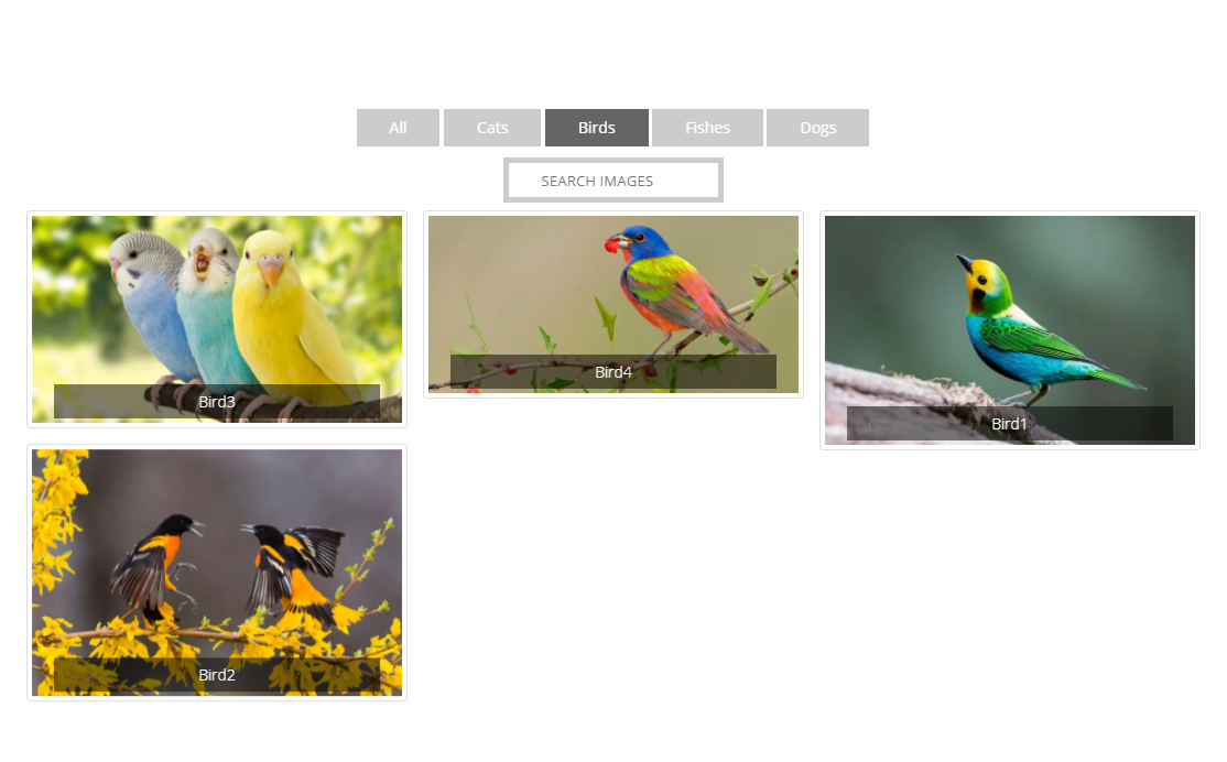 portfolio filter gallery screenshot