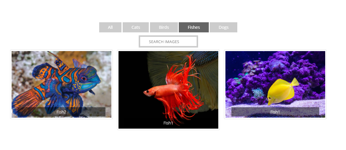 portfolio filter gallery screenshot