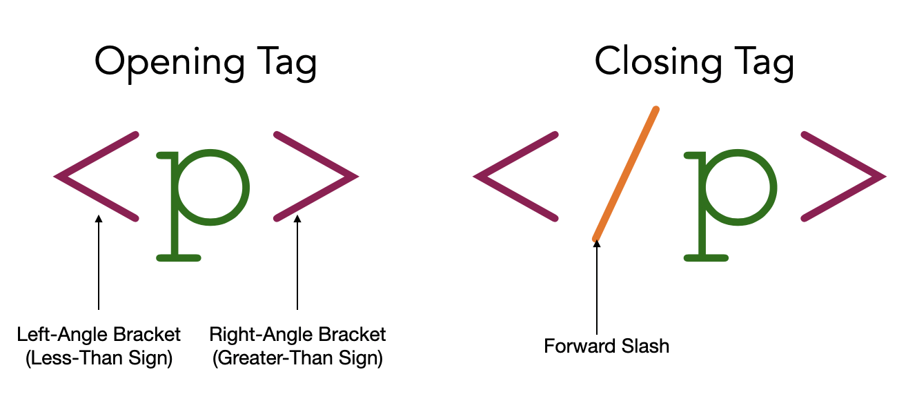 Module 2 Introduction to HTML  Dev Students
