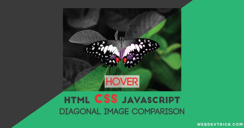 CSS Image Comparison Slider With JavaScript Reveal Image On Hover