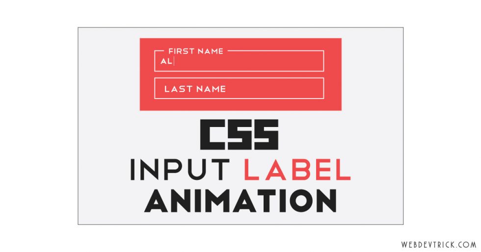 CSS Input Label Animation HTML Form Placeholder Above Inputs