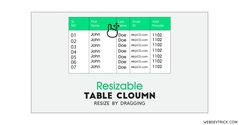 Resizable Table Columns With Drag and Slide Feature Drag to Resize