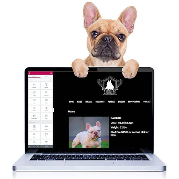Dog Breeder Web Design, Kennel Websites, Dog Fancier Designs