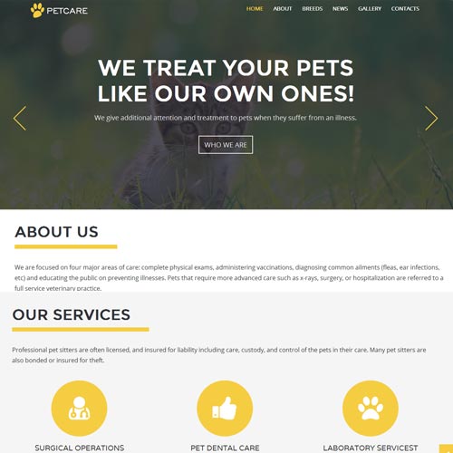 Pet Care site Design Best Pet Care website Designing in Bangalore