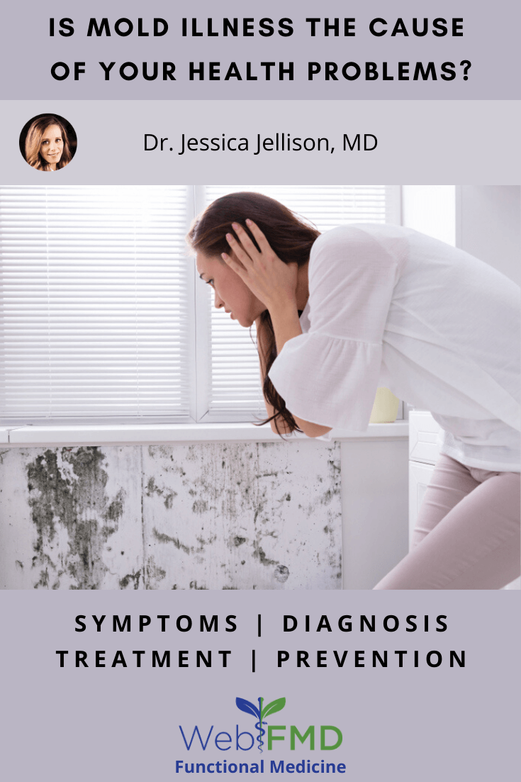 Is Mold Illness the Cause of Your Health Problems?