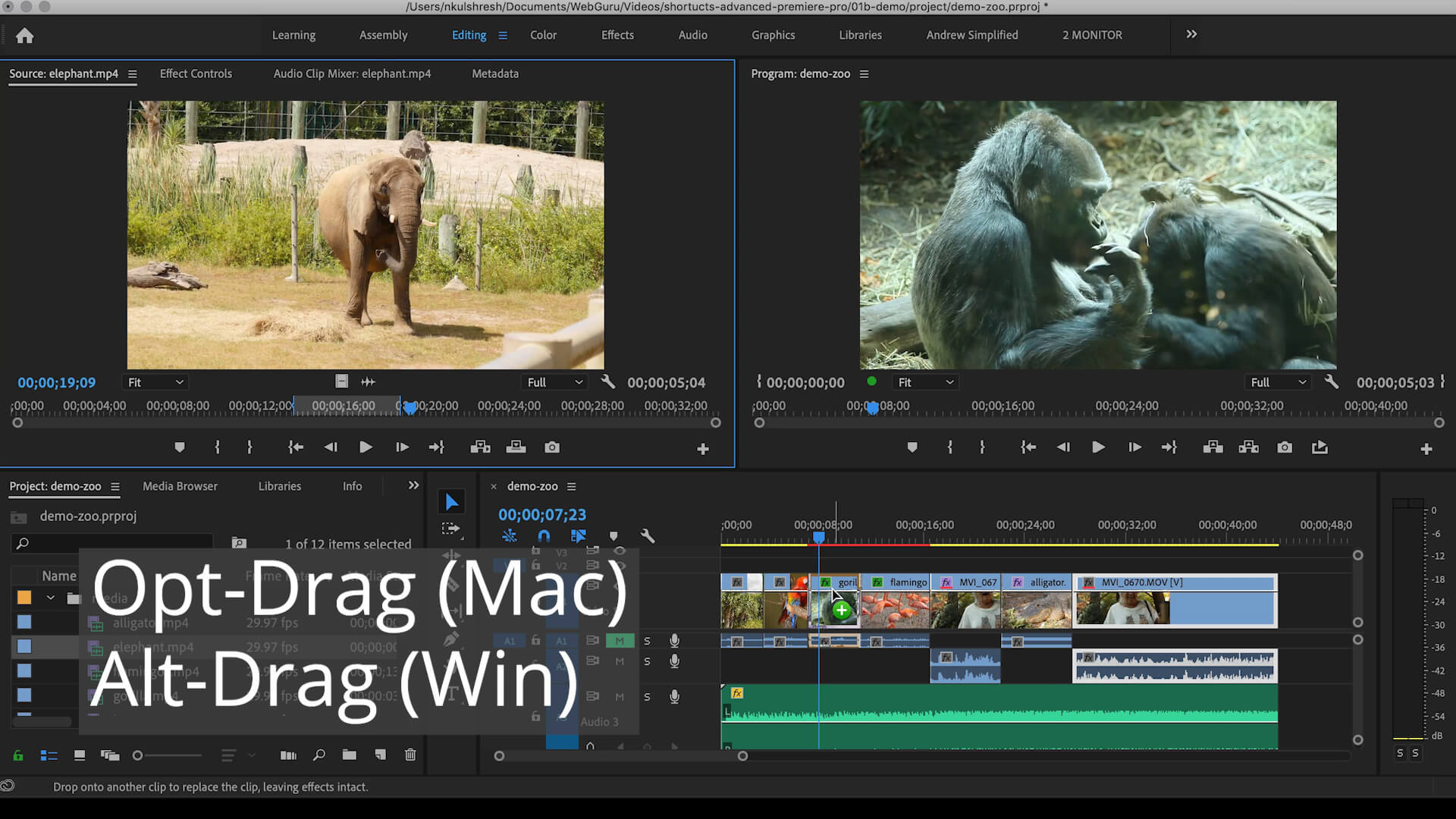 8 Shortcuts in Adobe Premiere Pro for Advanced Users Web Guru, Adobe