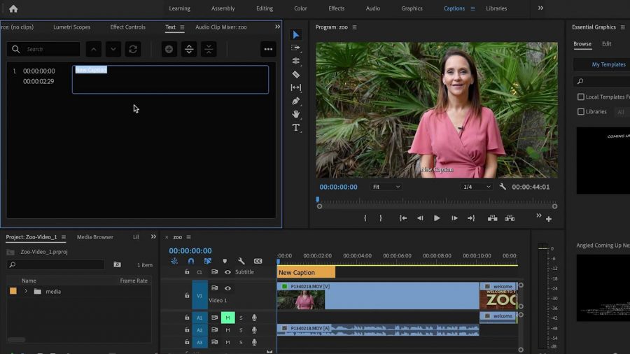 Improved Workflow For Captions and Subtitles In Adobe Premiere Pro 2021