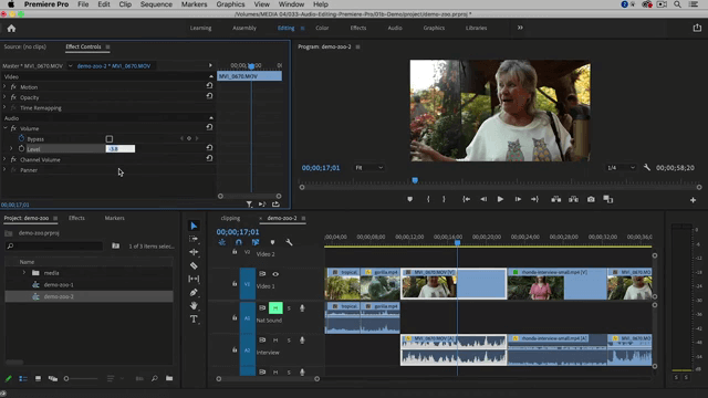 Audio Editing With Adobe Premiere Pro Web Guru, Adobe Expert