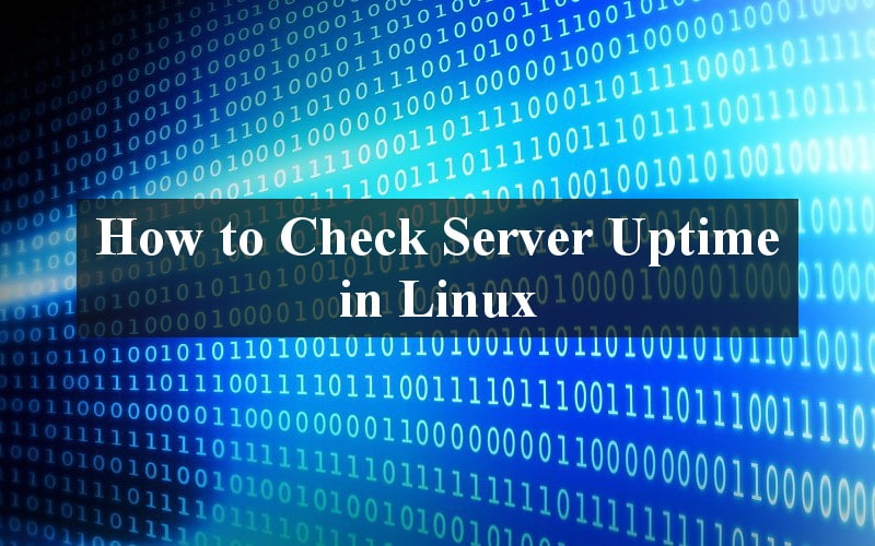 How to Check Server Uptime in Linux Linux Tutorials for Beginners