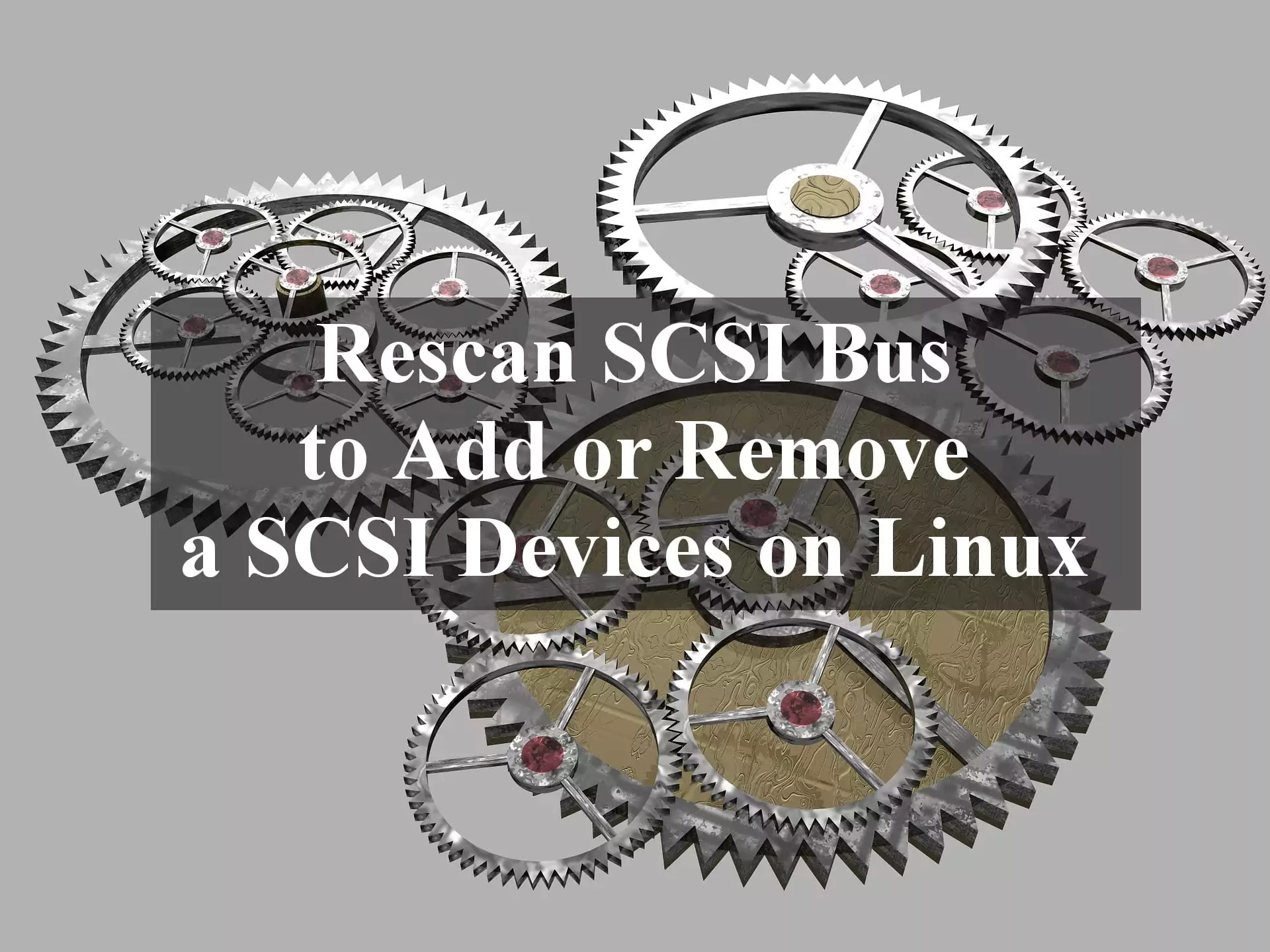 Rescan SCSI Bus to Add or Remove a SCSI Devices on Linux Linux