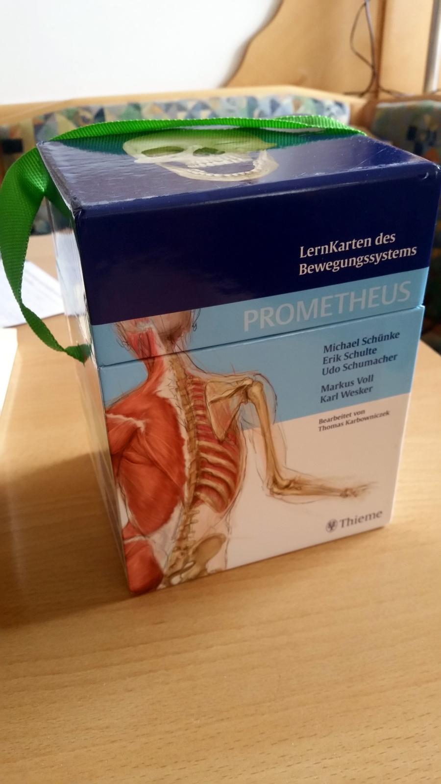 Prometheus LernKarten des Bewegungssystems in 4203 Oberbairing für €