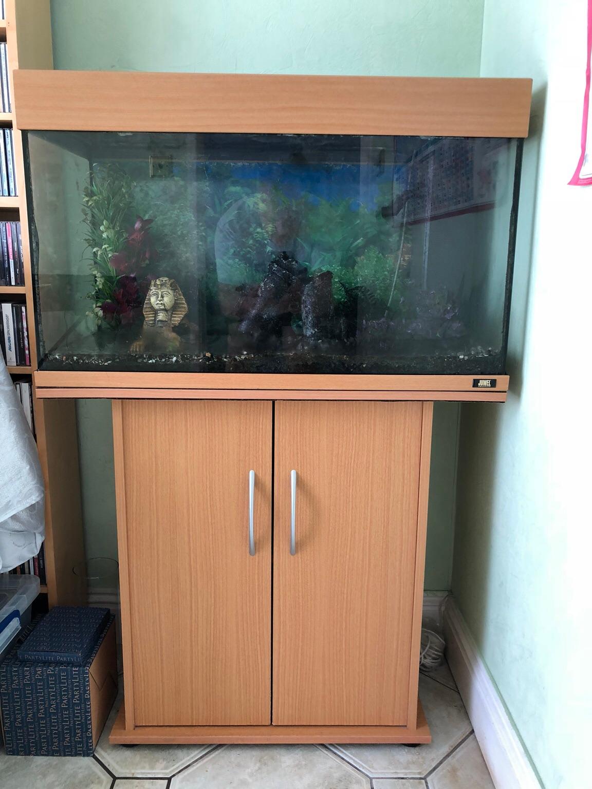Jewel Rio 125 litre cold water fish tank in SN11 Calne for free for