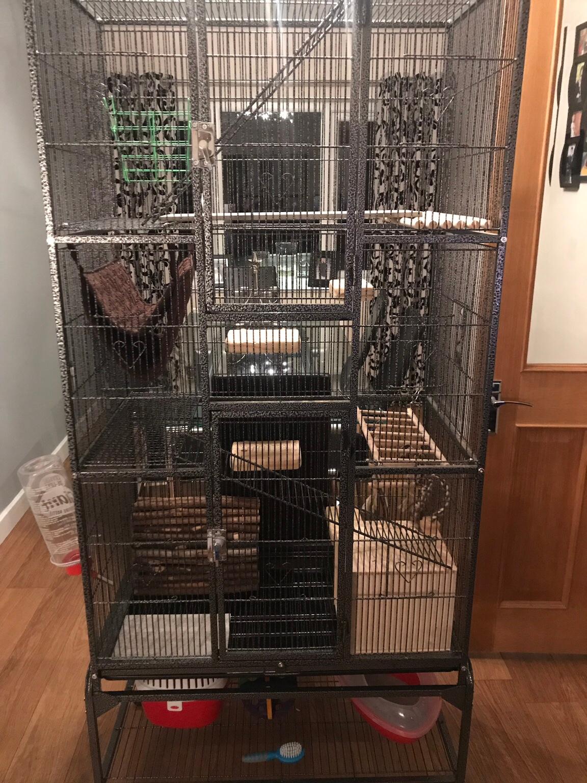 Large chinchilla cage in PR25 Ribble for £100.00 for sale Shpock