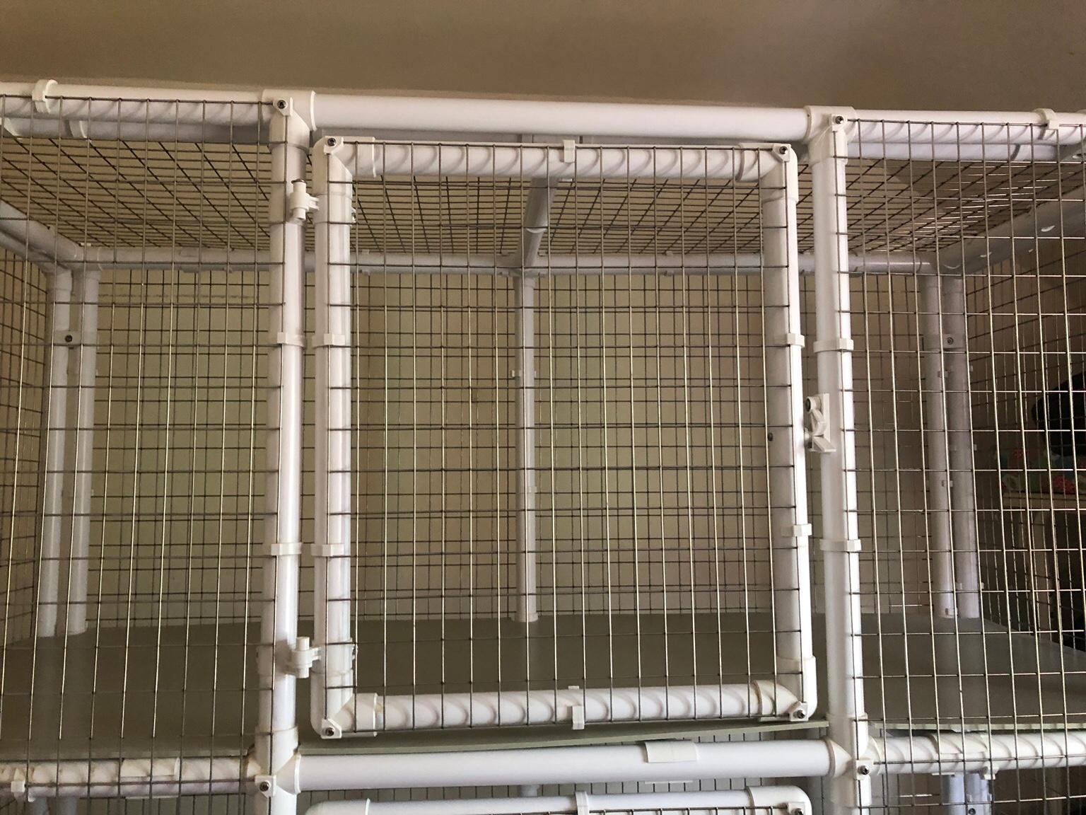Cat breeding cages in Johnstown für 550,00 £ zum Verkauf Shpock DE