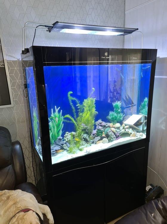 Cleair Aquatics Fish tank 390l in WS10 Walsall for £230.00 for sale