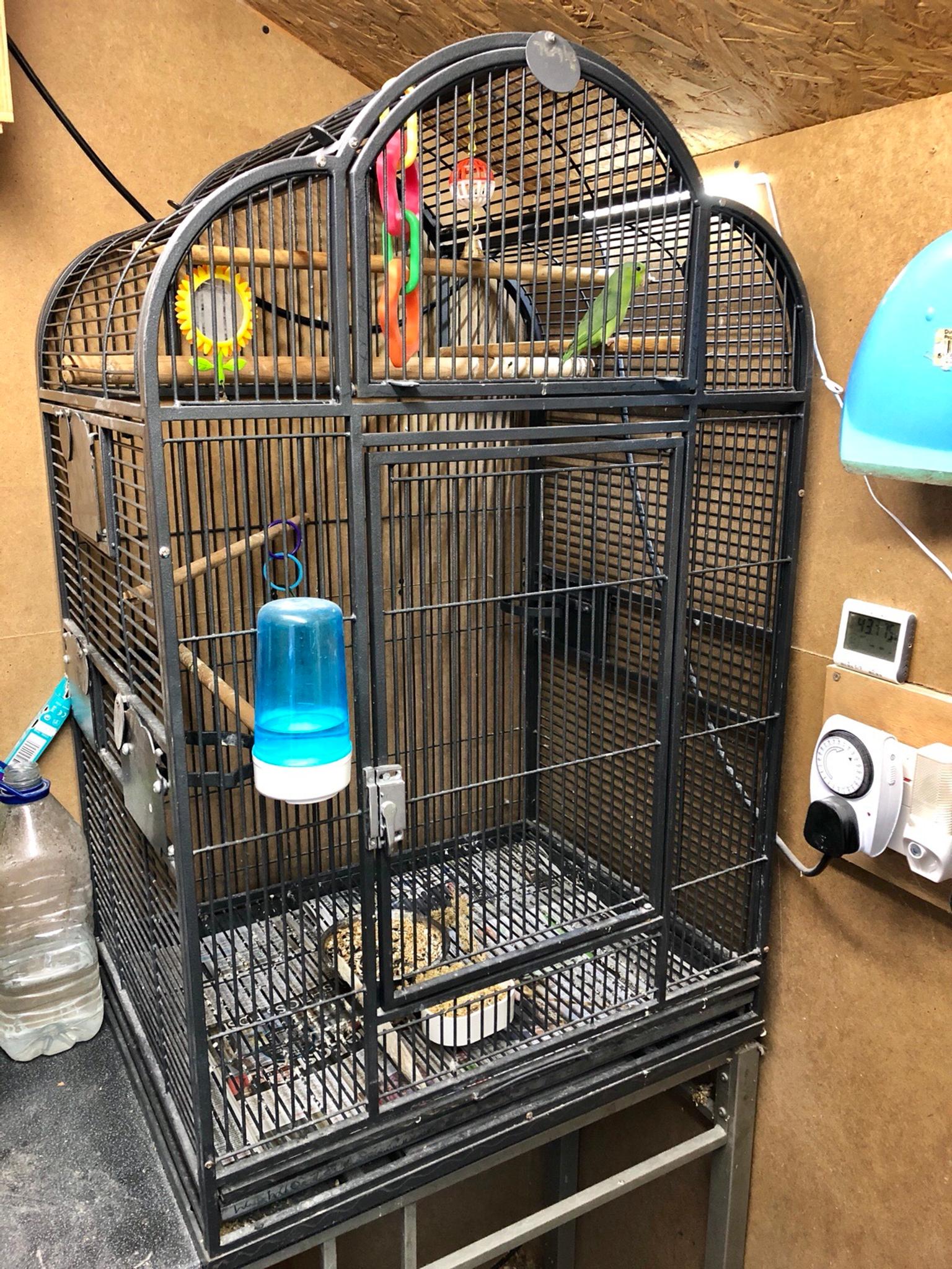 Parrotlet complete breeding setup in TN15 Malling for £200.00 for sale Shpock