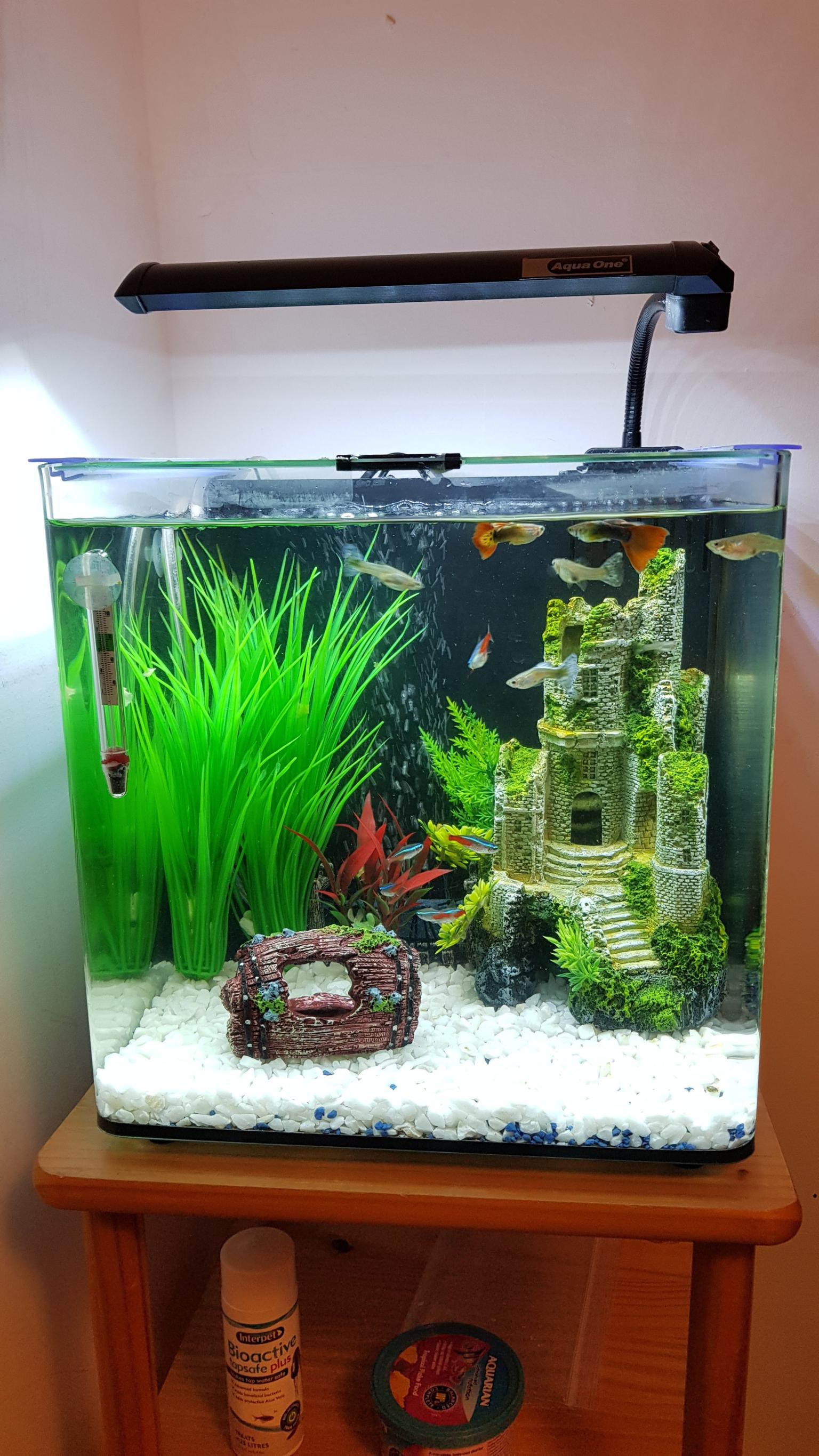 Aqua One Aqua Aspire 22 Glass Aquarium in BD8 Bradford for £60.00 for