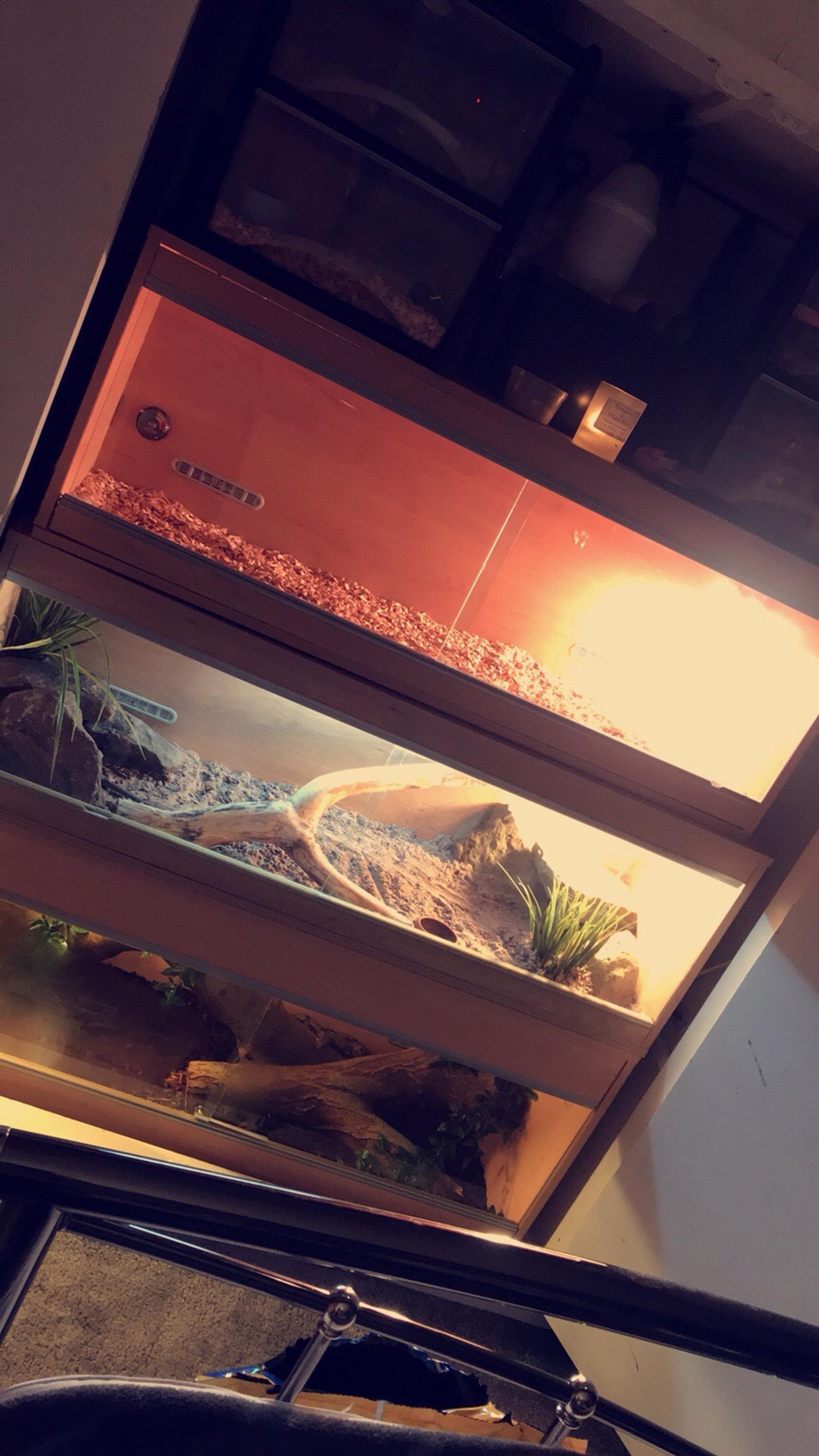 4ft vivexotic vivarium in S12 Sheffield for £25.00 for sale Shpock
