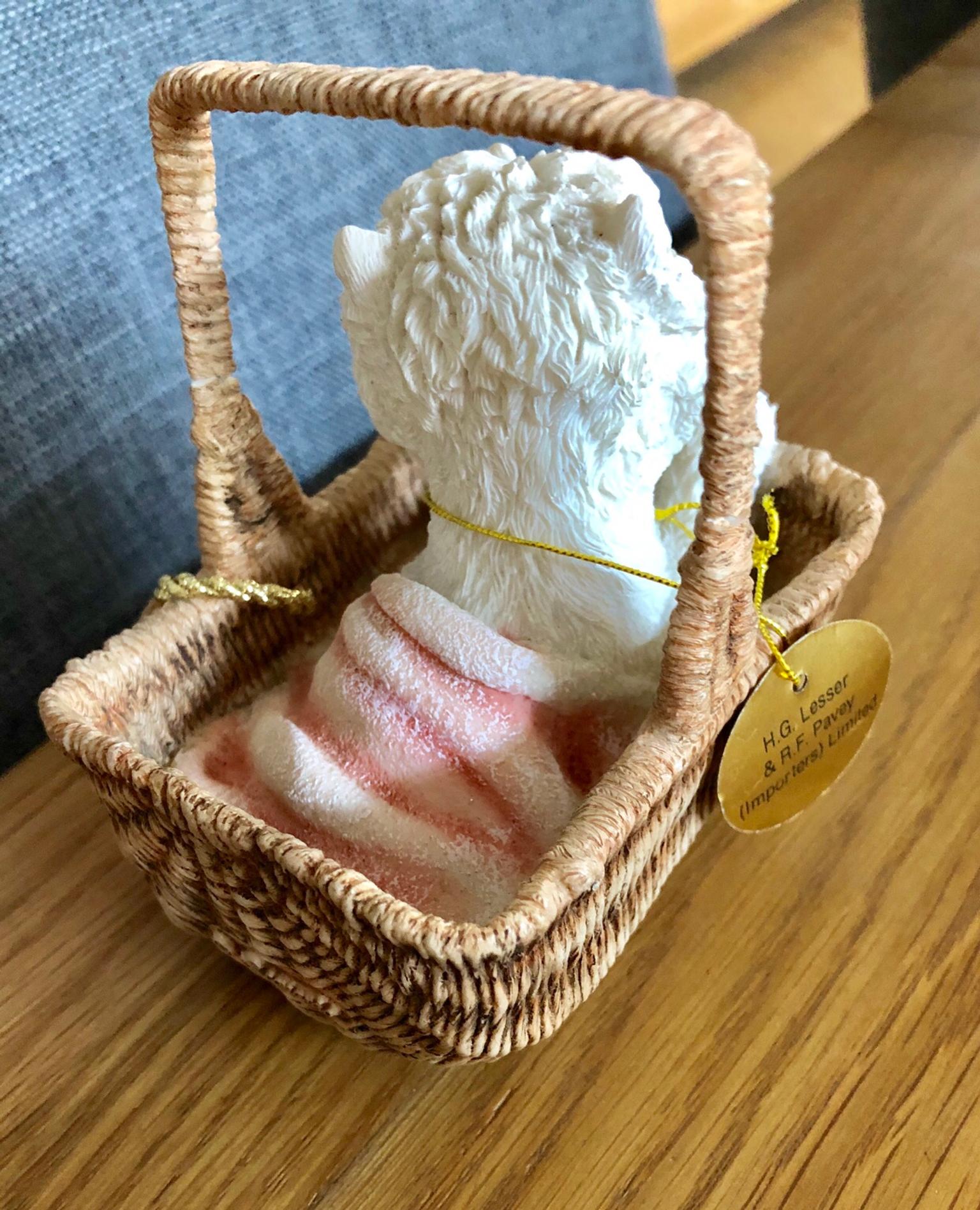 NEW Westie Dog in Basket Leonardo Collection in Ashfield for £8.00 for