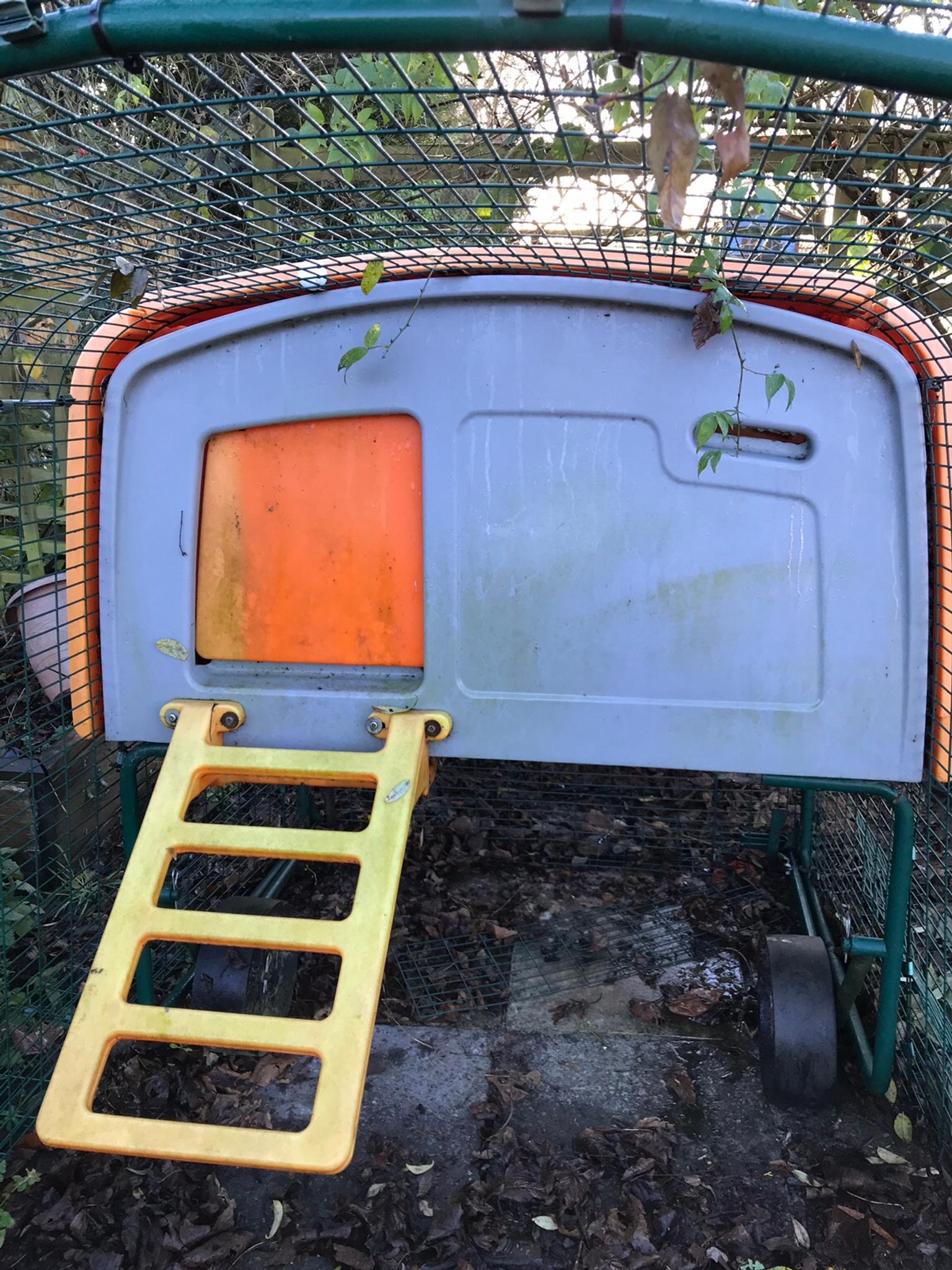 Omlet Eglu Cube Chicken House in TN25 Folkestone and Hythe for £300.00 for sale Shpock