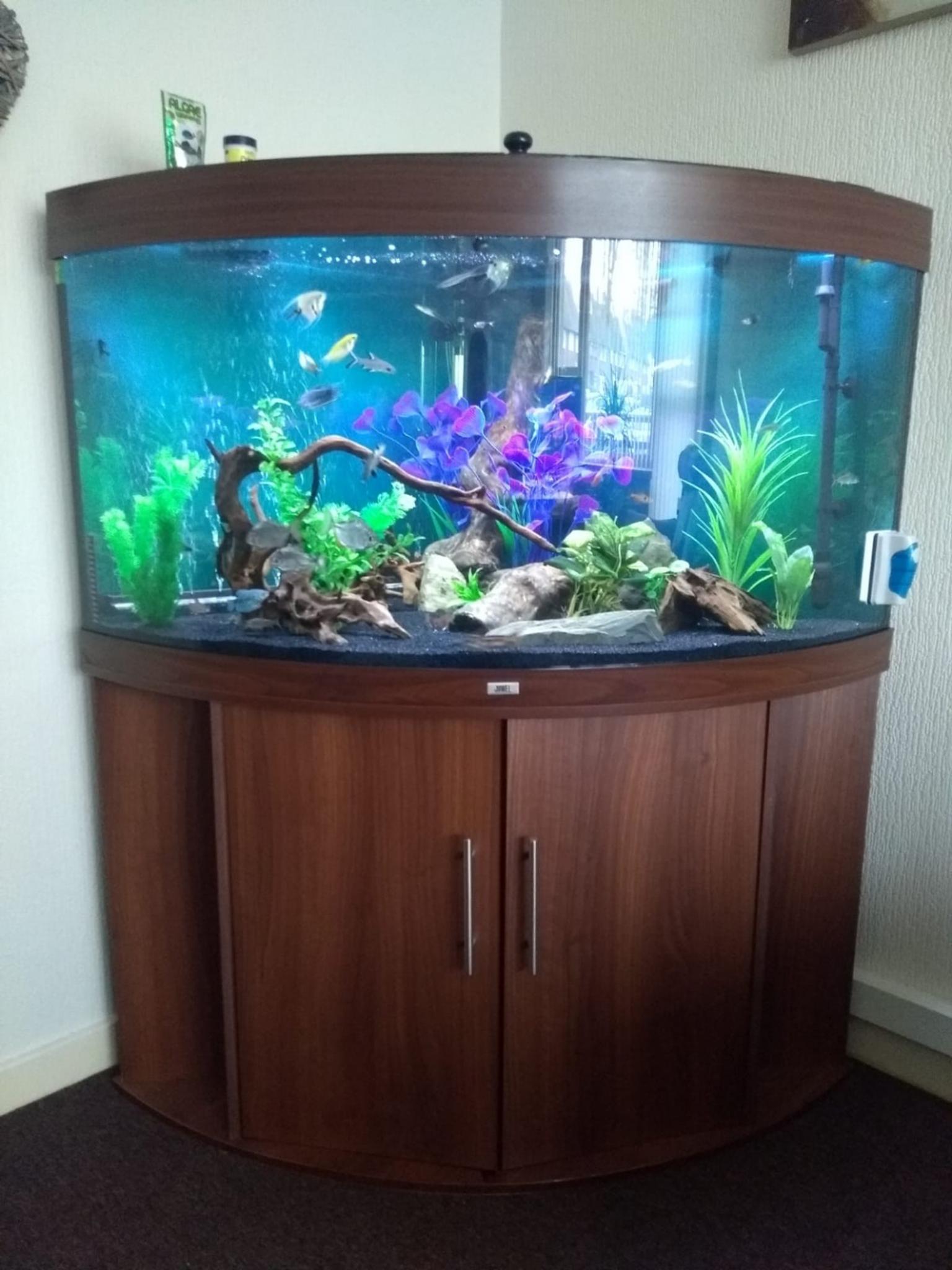 350 litre juwel trigon corner fish tank in B42 Birmingham for £280.00
