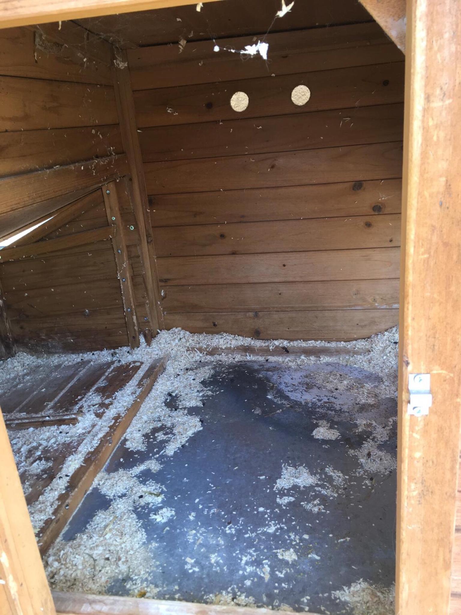 Hasenstall in 6382 Kirchdorf in Tirol für gratis zum