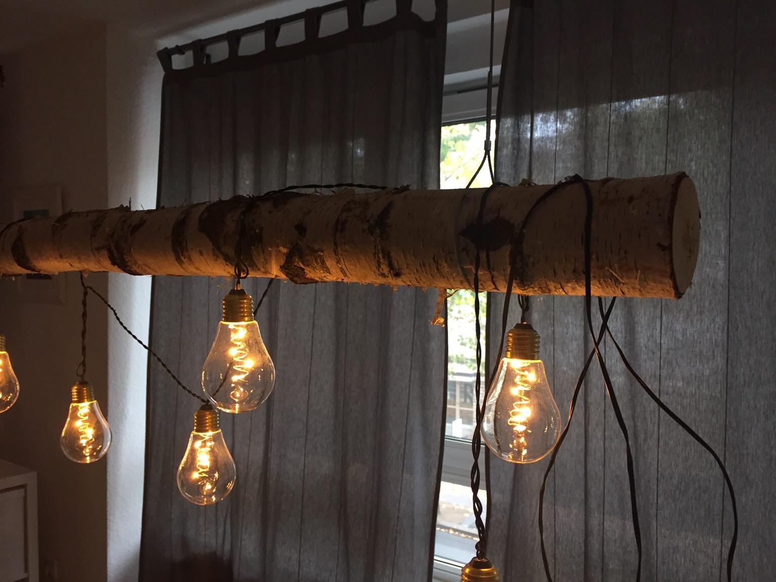 Außergewöhnliche Lampe Hängelampe Birke in 55116 Mainz für 120,00