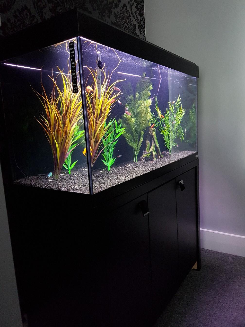 Fluval Roma 200 litre tropical fish tank in S5 Sheffield
