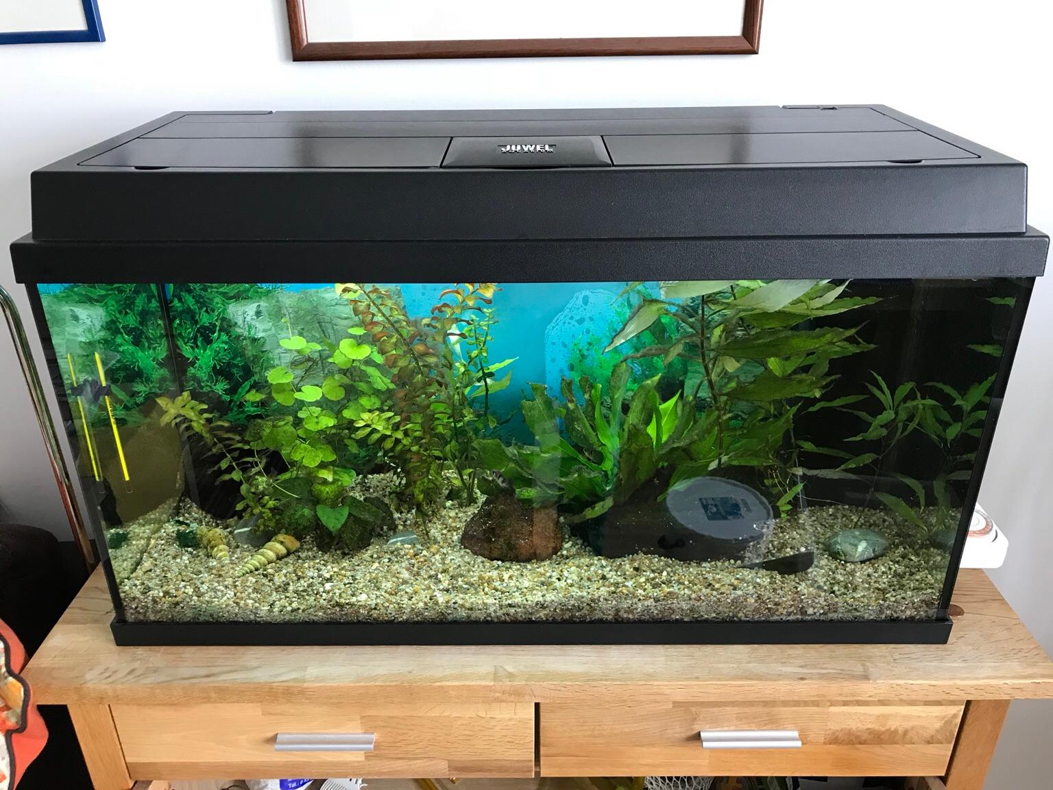 JUWEL Aquarium 112 Liter komplett in 9500 Villach for €