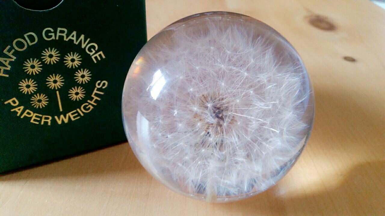 Hafod Grange Large Dandelion Paperweight in SN25 Wick for £25.00 for