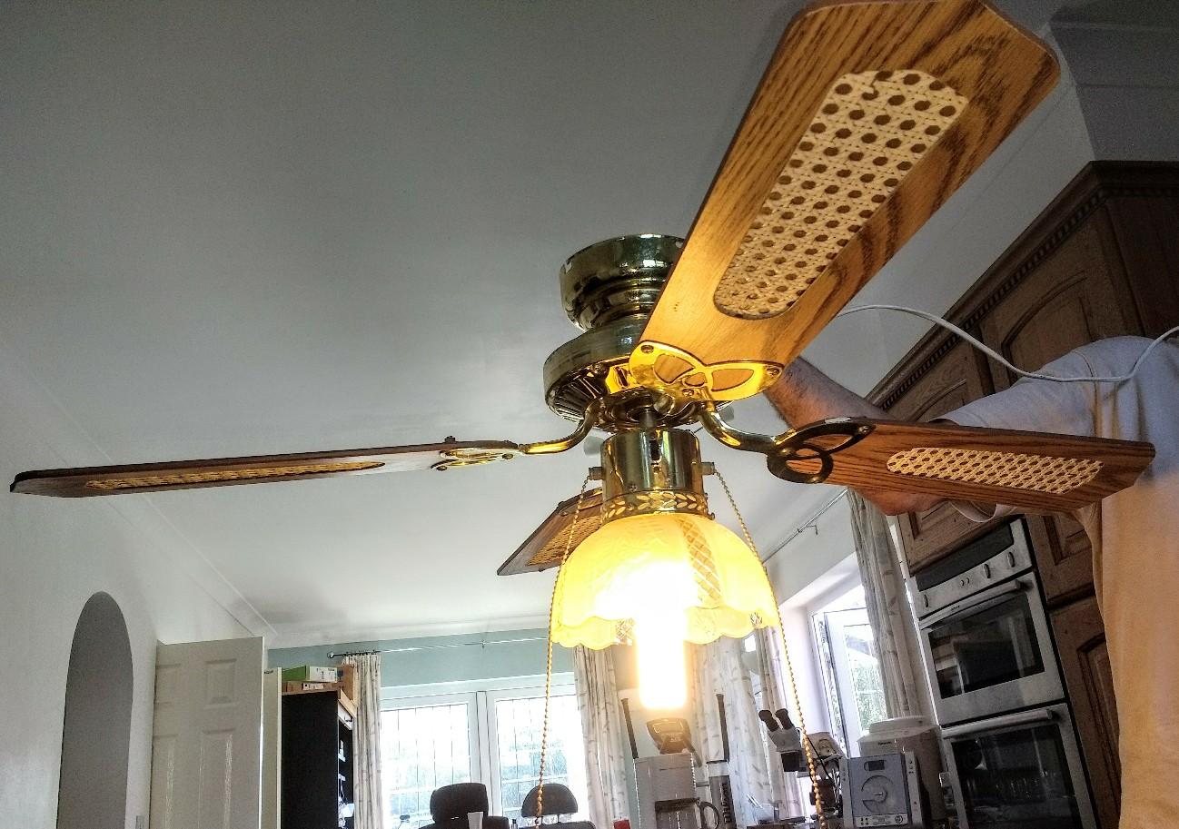 Wickes ceiling fan & light with glass shade in RG42 Winkfield for £5.00