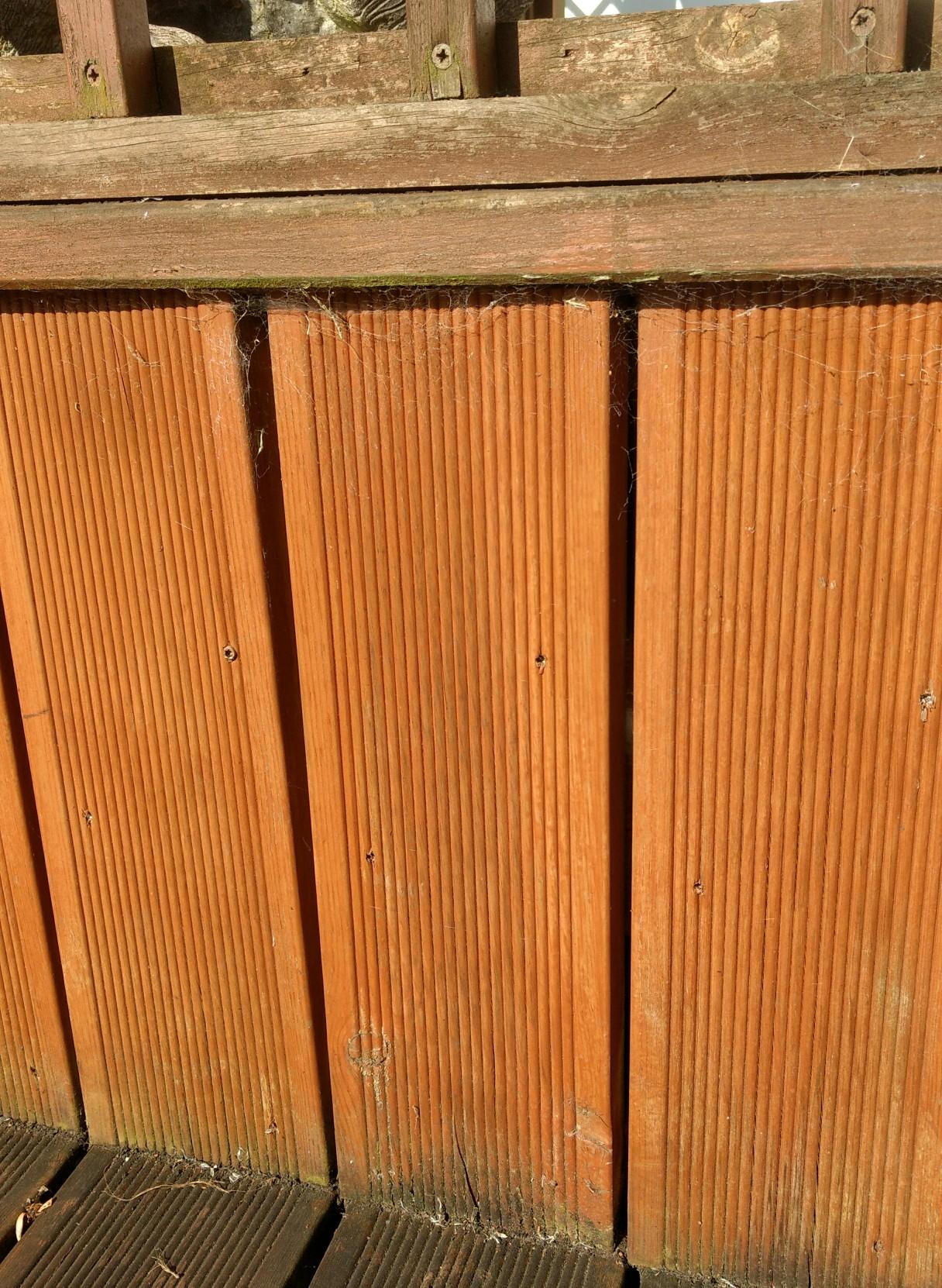 Screwfix No Nonsense Decking Oil in B74 Walsall for £10.00 for sale