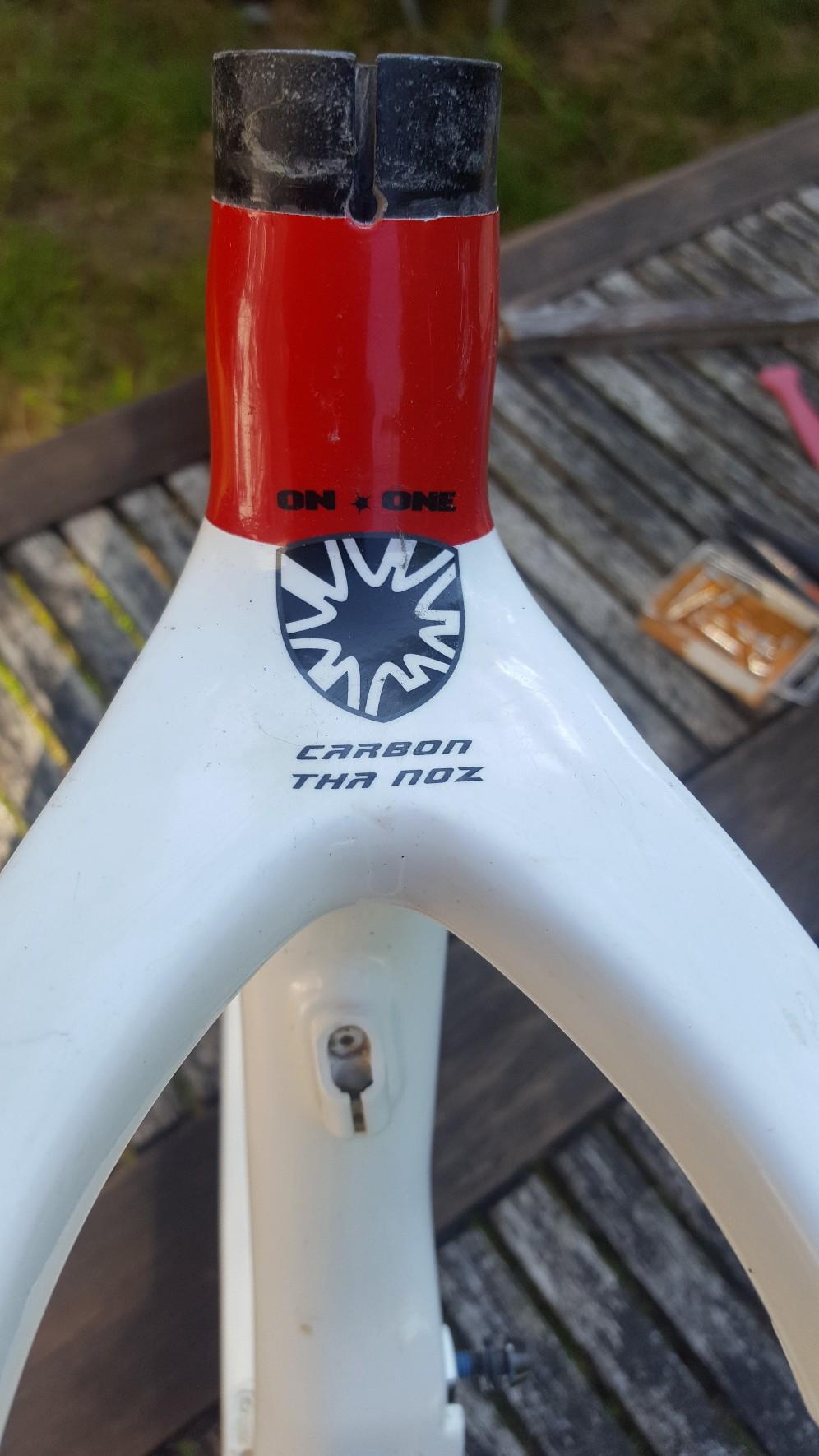 X ON ONE WHIPPET CARBON FRAME in SY3 Shrewsbury for