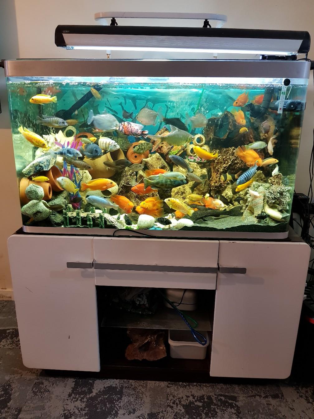 Fluval Osaka Fish Tank 320 liters aquarium in E13 Newham for £150.00