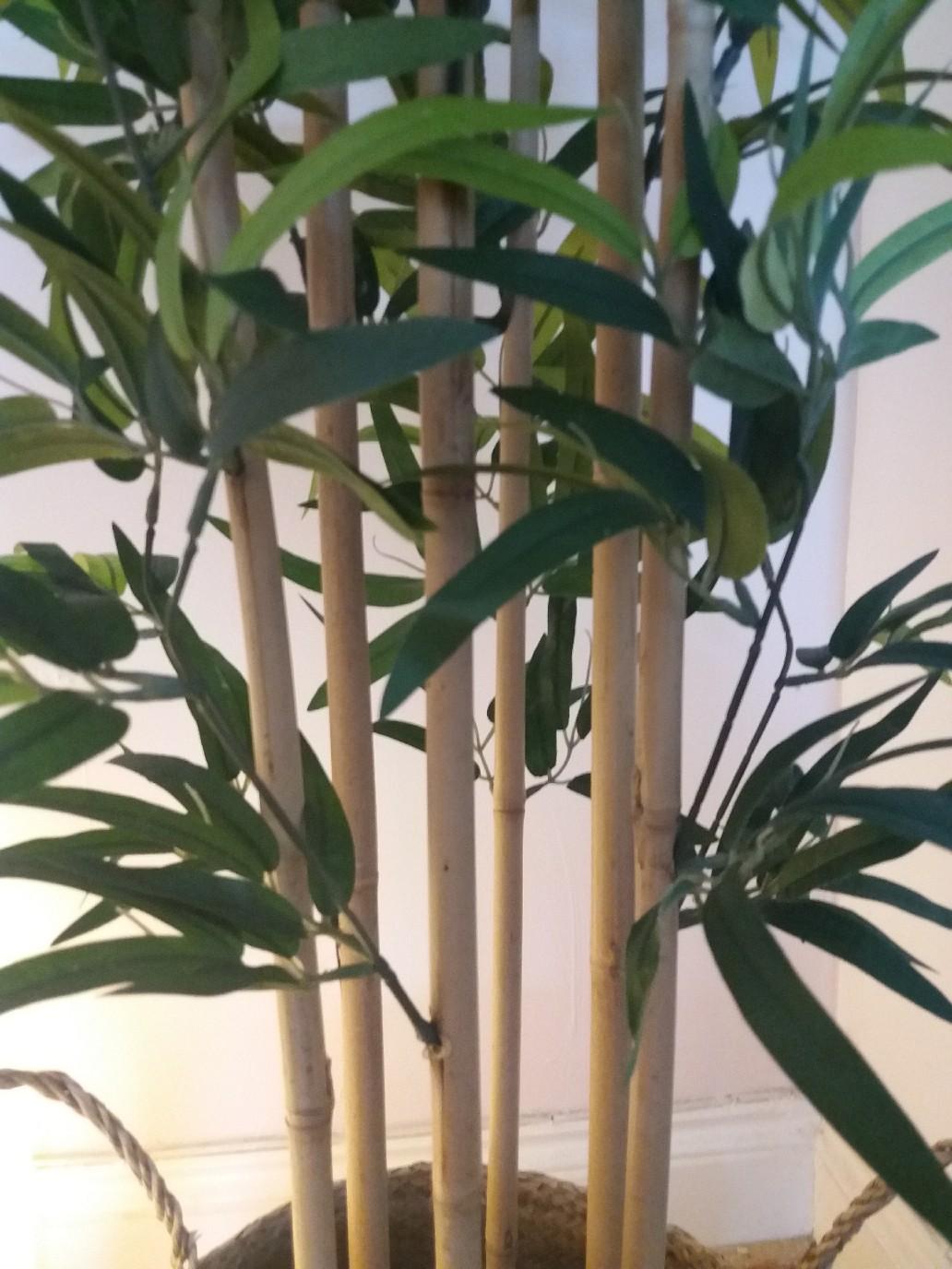 Ikea Bamboo FEJKA Artificial Plant in LU2 Stopsley for £20