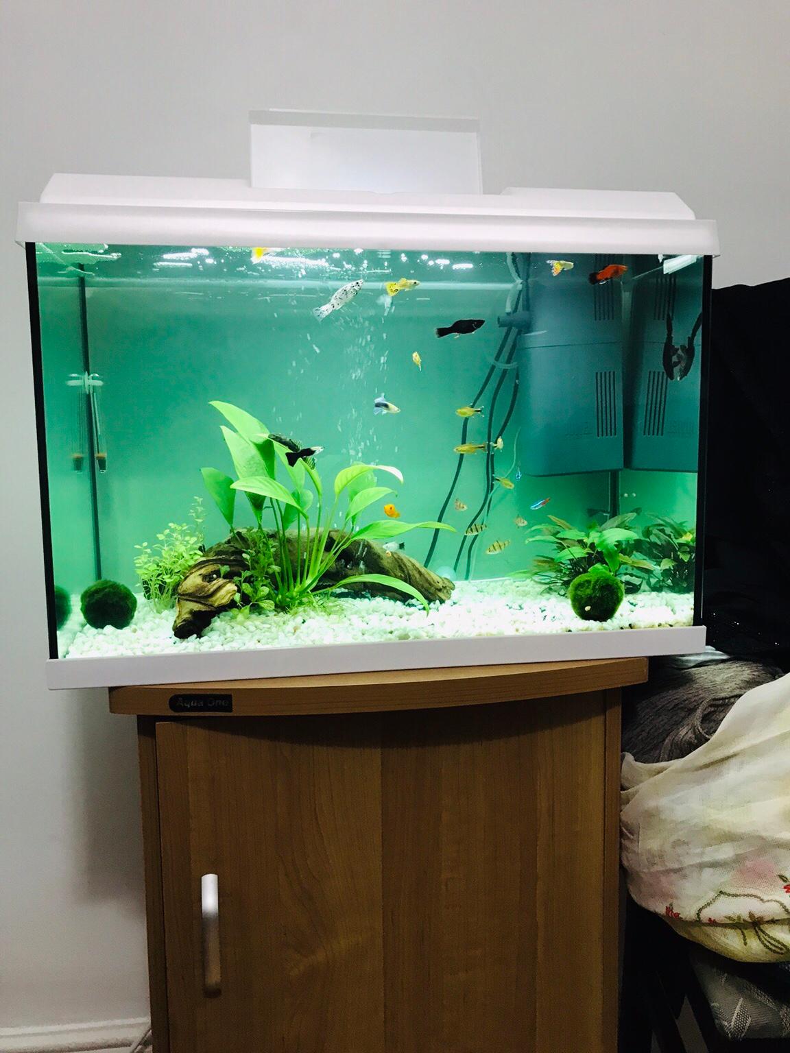 70L fish tank, aquarium complete set in HA3 Harrow for £90.00 for sale