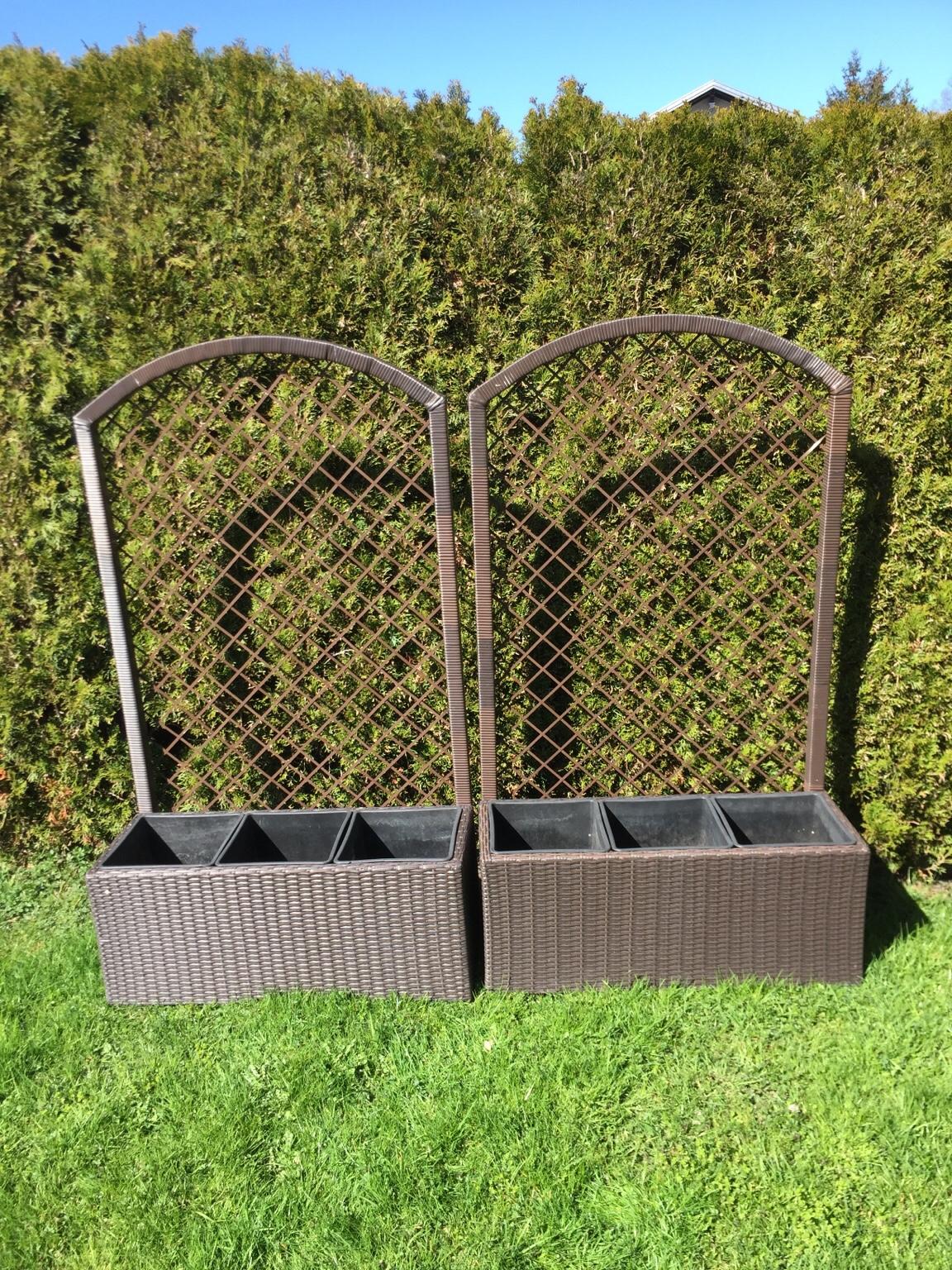 Blumentopf/Rankgitter in 6858 Schwarzach for €10.00 for sale Shpock