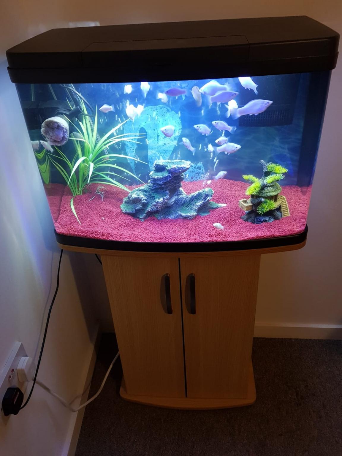 64 litre Fish Tank in E14 Hamlets for £100.00 for sale Shpock
