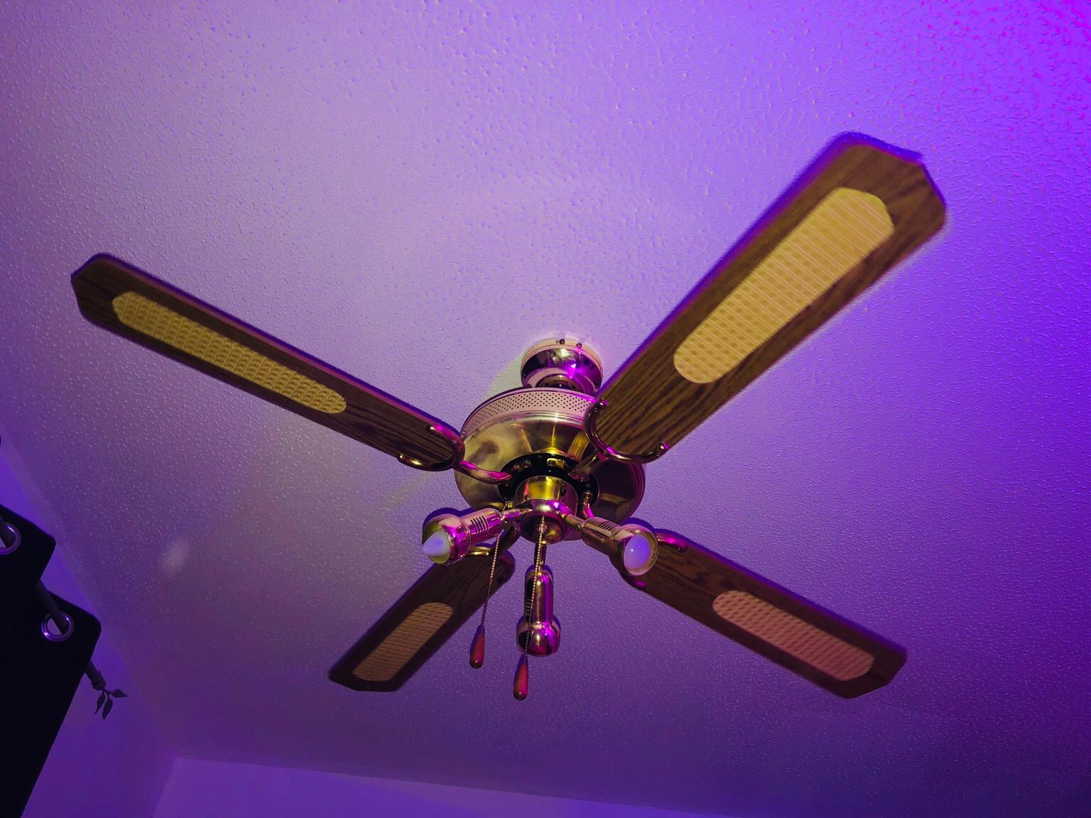 Ceiling fan in M16 Trafford for £20.00 for sale Shpock