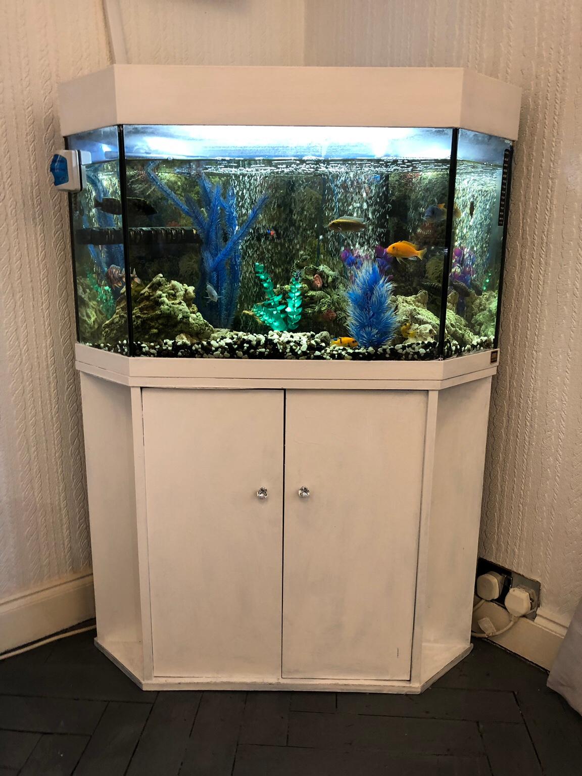 Fish Tank and Stand for sale in Basildon for £70.00 for sale Shpock